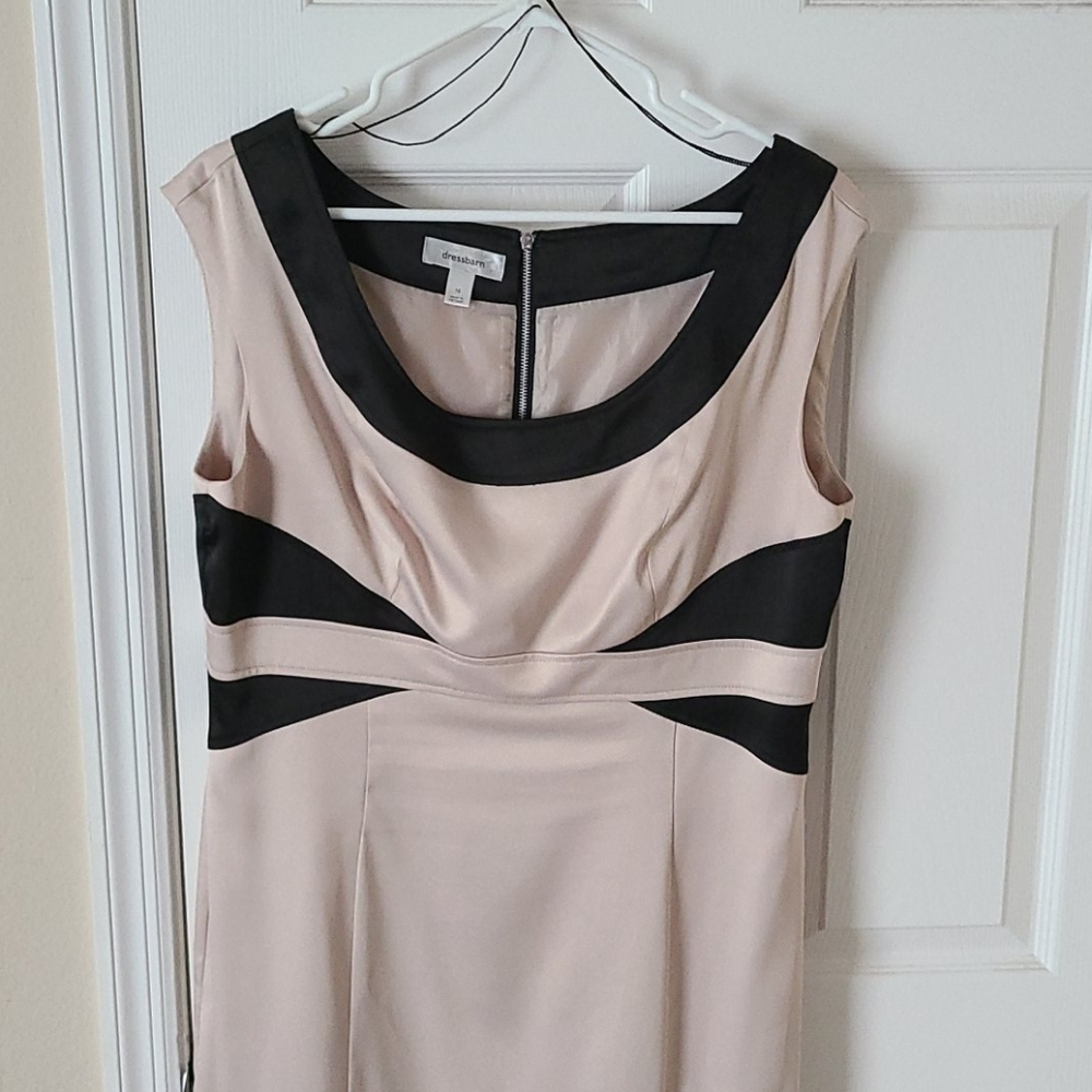 Dress barn Dress